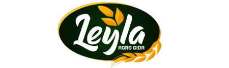 Leyla Agro Dubai Kıbrıs Deniz Media Group